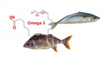 Analizan por primera vez la cantidad de omega 3 en pescados chilenos